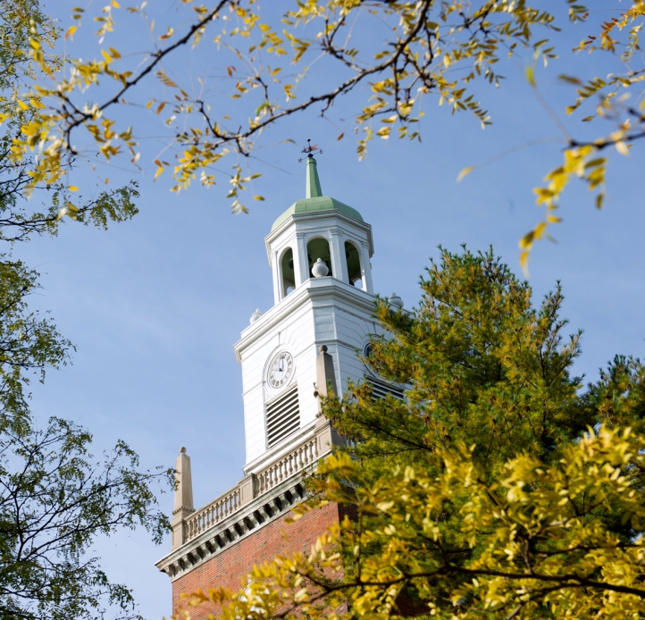 Rockwell tower seen through trees
