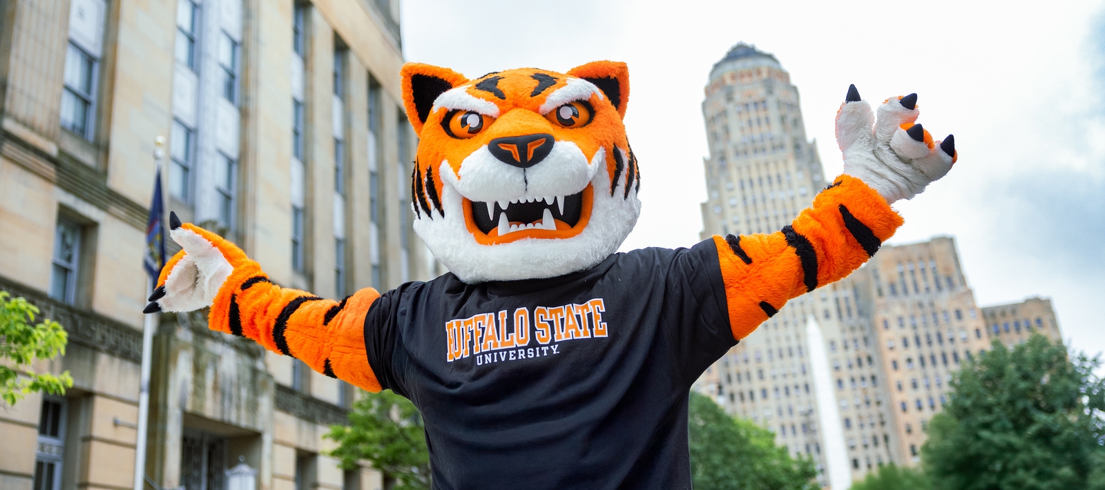 Benji the bengal at Buffalo City Hall