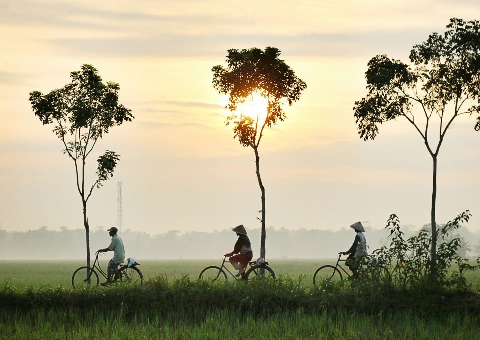3 people riding bikes in landscape